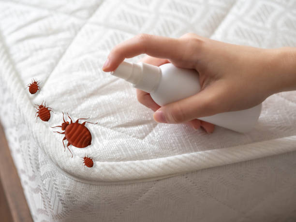 Best Pest Prevention Services  in Sheridan, OR